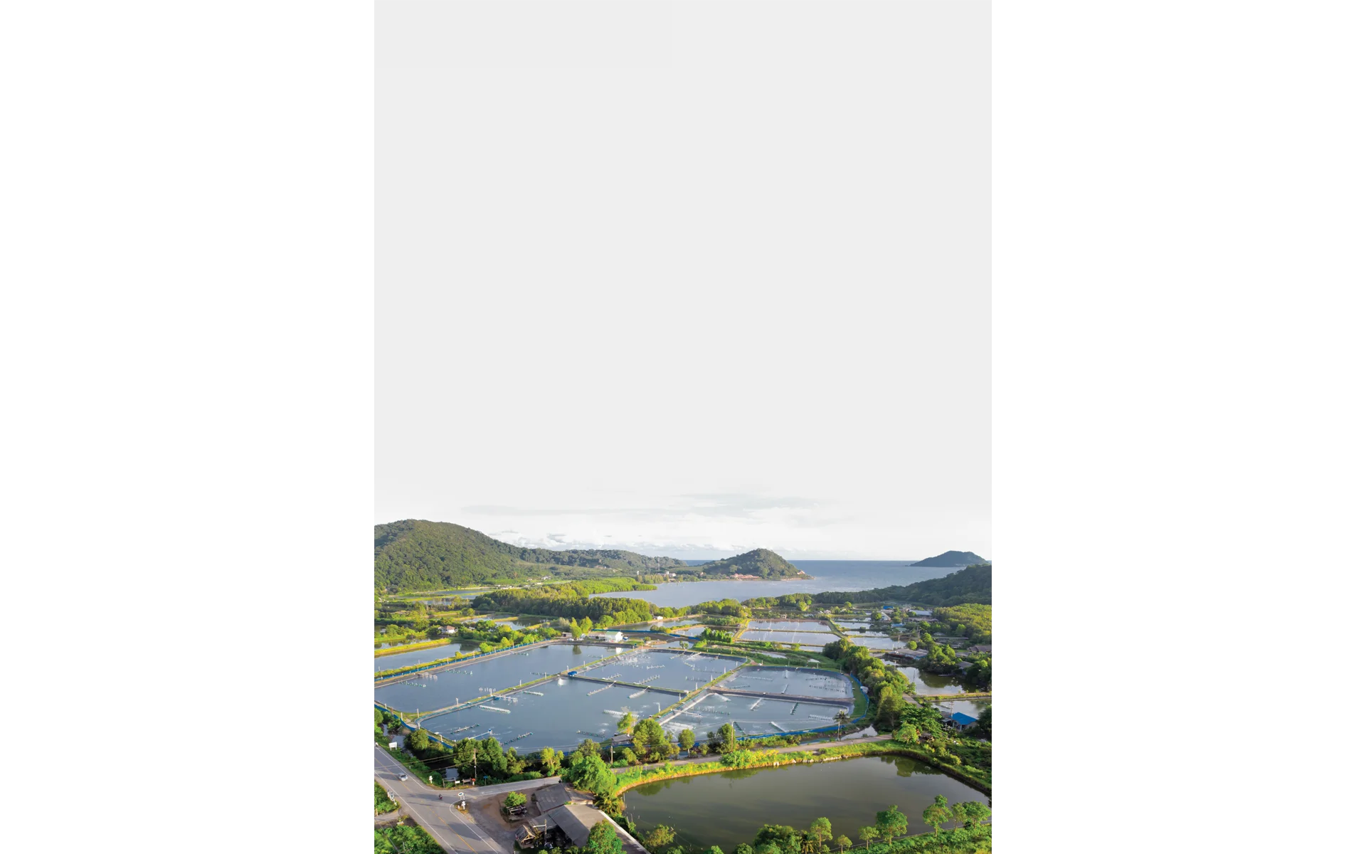 Science Square (Issue 125)