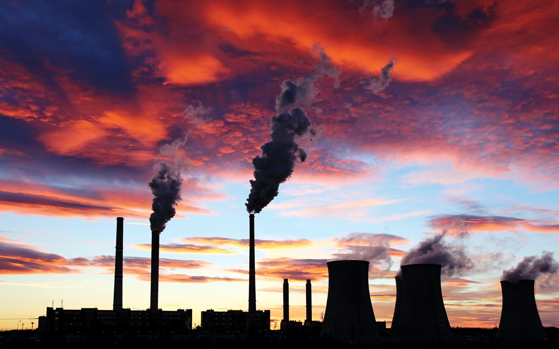 The Fruits of Our Labor